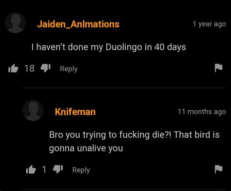 Duolingo Will Fuck Him R Pornhubcomments