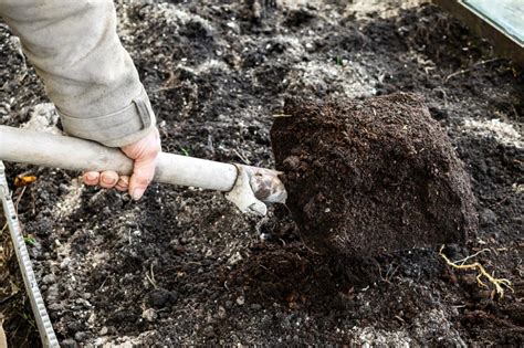 Comment utiliser les cendres de la cheminée dans le potager