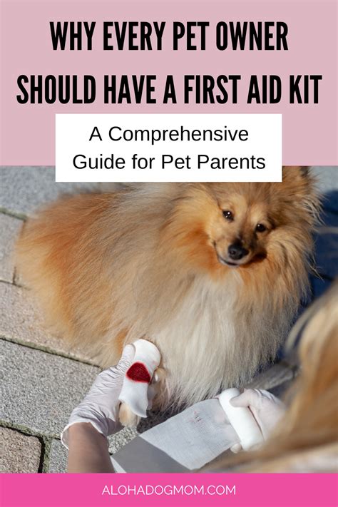 Pet First Aid Kits 101 All The Basics You Need To Know Artofit