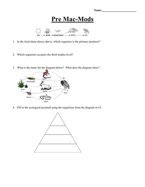 Ecology Pyramid Worksheet - Kid Worksheet Printable