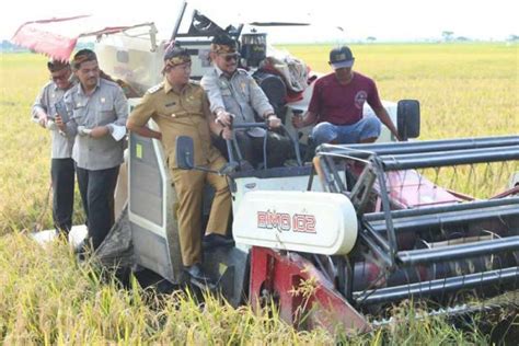 Hasil Melimpah Mentan SYL Panen Raya Perdana Padi Di Karawang