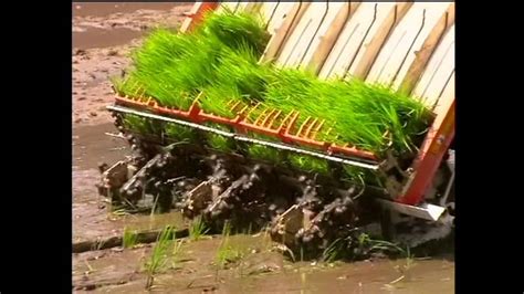 Rice Transplanter Riding Type Youtube