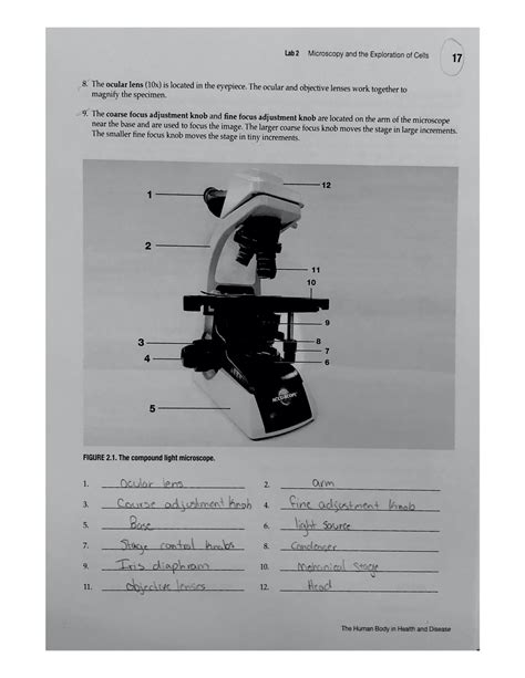 Lab Microscopy And The Exploration Of Cells Bio Studocu