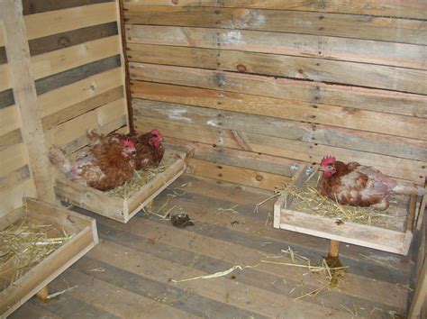 Livre Comment Construire Un Poulailler Chicken Coops