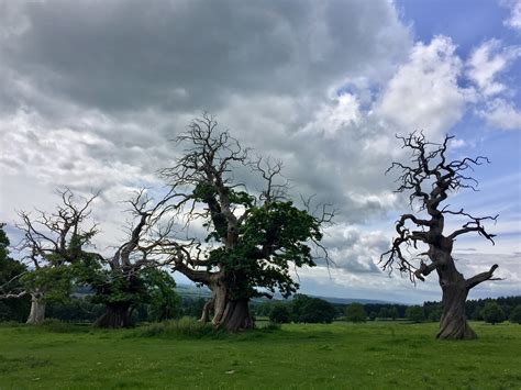 Leominster Travel Guide: Best of Leominster, England Travel 2024 ...