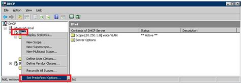 Configuring Windows Dhcp Server Options Knowledgebase Data102