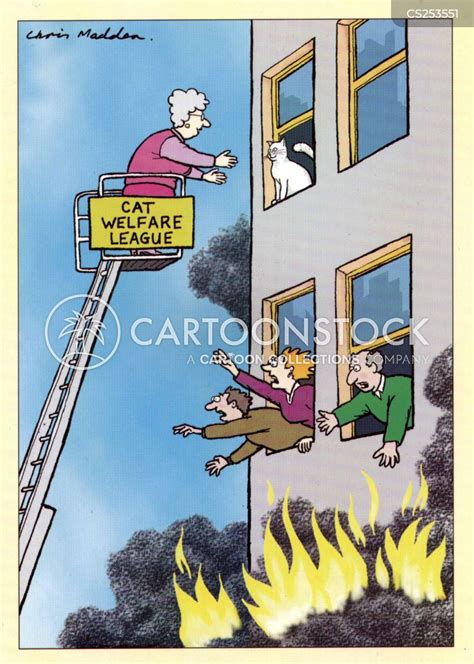 Advocate Cartoons and Comics - funny pictures from CartoonStock