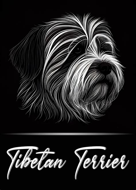 Tibetan Terrier Poster By Artistic Paradigms Displate