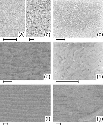 Scanning Electron Micrographs Of Samples A 1a B 1b C 2b D 3 E 4 F