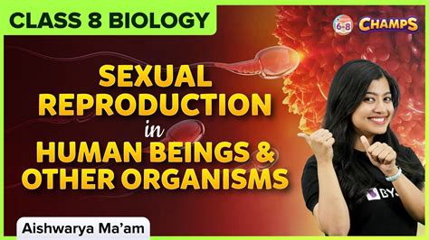 Sexual Reproduction In Human Beings And Other Organisms Class 8 Cbse