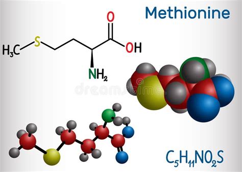 Methionine L Methionine Met M Essential Amino Acid Molecule