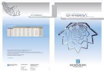 Stent Arteria Coronaria Chroma Biosensors International De Cromo