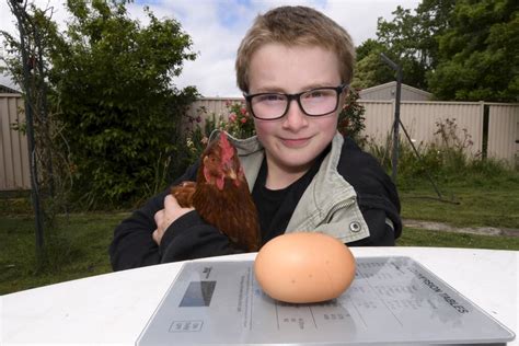 Could this NOW be Ballarat's biggest chicken egg? | The Courier ...