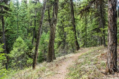 Nine Mile Falls Trail Northeast Washington Trails