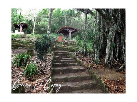 Biot S Bioturismo Vzla Cerro El Copey Conociendo Nuestros Parques