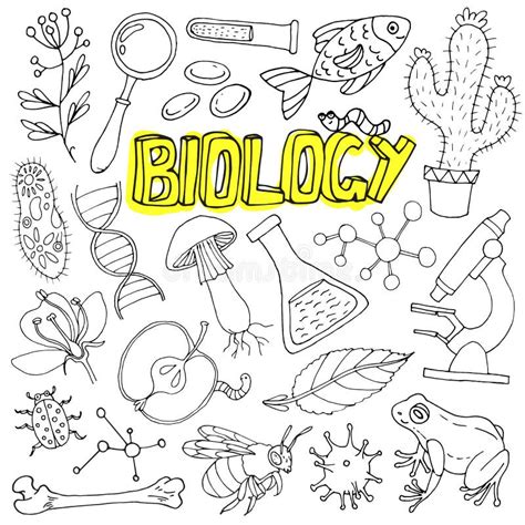 Dibujos De Biologia Para Colorear Faciles Illustration Branch Images