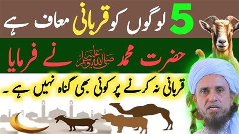 5 Logo Ko Qurbani Mauf Ha Un Par Koi Gunah Ni Ho Ga Nabi Pak Ka