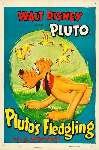 Pluto Pluto`s Fledgling C 1948 Filmaffinity