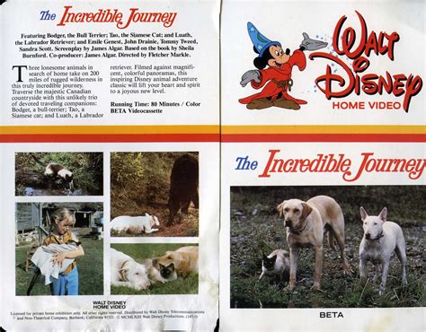 The Incredible Journey 1963