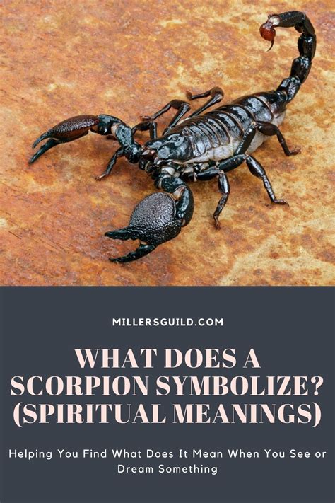 What Does a Scorpion Symbolize? (Spiritual Meanings)