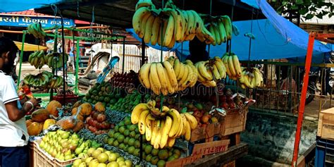 Indian Farmers Sell Vegetables On Outdoor Market Editorial Stock Photo