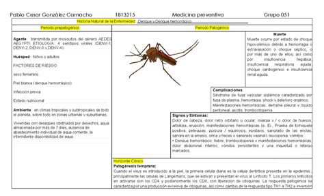 Hne Y Np Dengue Y Dengue Hemorragico Historia Natural De La Hot Sex