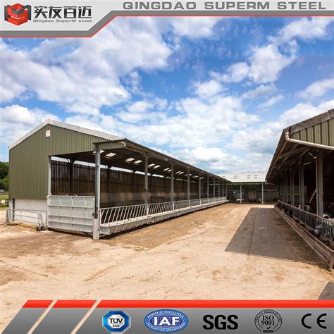 New Design Prefab Steel House Cattle Farm Dairy Barns Steel Structure