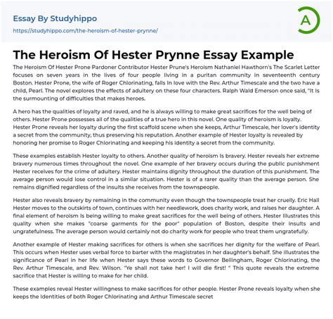 The Heroism Of Hester Prynne Essay Example