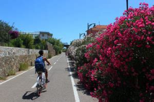 Pista Ciclabile Sanremo Riviera Dei Fiori Imperiadavedere It