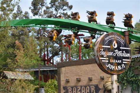 In Pictures Mandrill Mayhem At Chessington UK Theme Park Spy