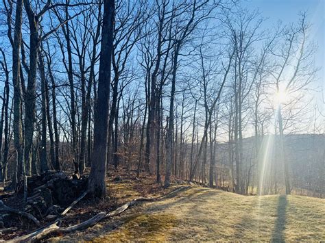 How to understand local weather çº½çº¦ trends this year