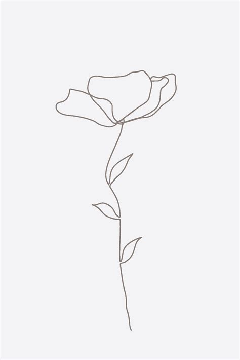 A Collection Of Beautiful Simple Line Art And Sketches Including