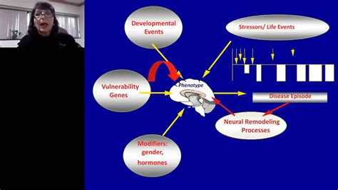 Neuroscience 2023 Publication Nirs Fnirs Latin American Women In