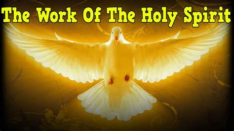 The Work Of The Holy Spirit The Light Of Christ Journey