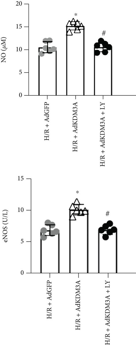 KDM3A Overexpression Ameliorated H R Induced CMEC Injury And