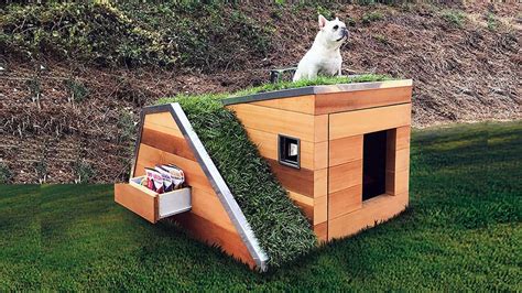 Most Creative Dog Houses Ever 3 Youtube