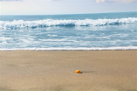 Descubriendo las Calas Más Bonitas de Costa Brava TravelHolics