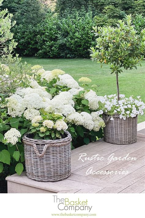 Hydrangeas Topiary And Boxwood In The Modern Country Garden Artofit