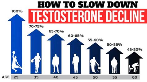 What Age Does Testosterone Drop In Men Sale Laseb Fae Ufmg Br