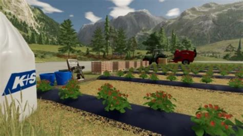 FS22 Open field strawberries v 1 0 0 1 Placeable Objects Mod für