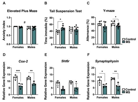 Maternal Separation Leads To Regional Hippocampal Microglial Activation