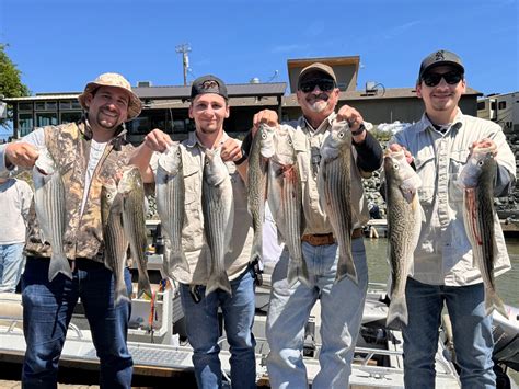 Fishing Sac River Striper Bite Continues