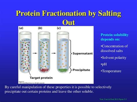 Protein Structure