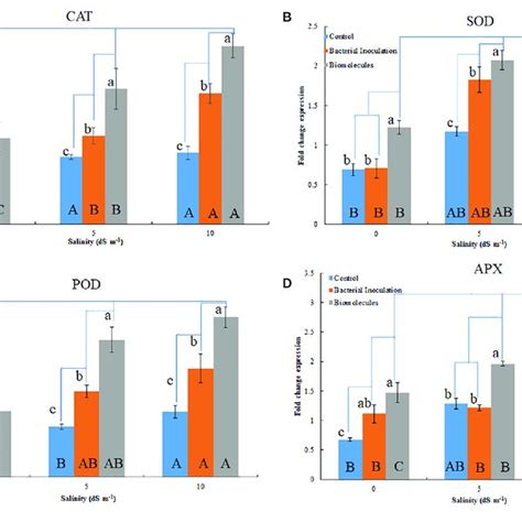 Quantitative Gene Expression Of Antioxidant Enzymes Cat A Mnsod