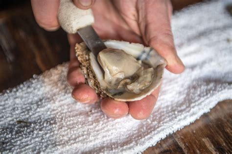 Man Gets Flesh Eating Bacterial Infection From Eating Raw Oysters Live Science