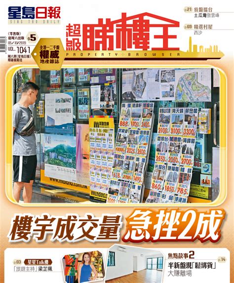 《超级睇楼王》焦点：楼宇成交量急挫2成 星岛日报