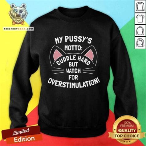 Hot My Pussys Motto Cuddle Hard But Watch For Overstimulation Sweatshirt