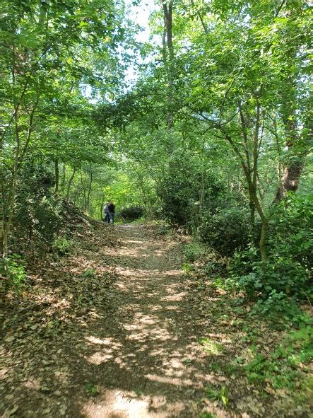 Parco Regionale Della Vena Del Gesso Romagnola Iniziative Ed Eventi