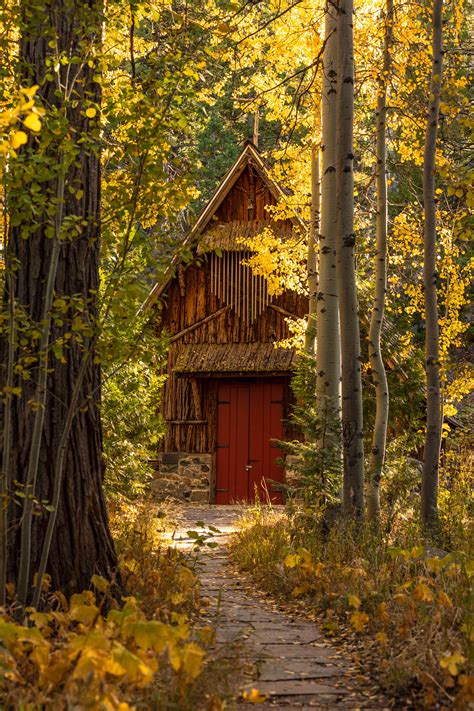 Best Spots To See Fall Foliage In Lake Tahoe Catherine Chicotka