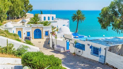 16 Best Hotels in Tunis. Hotels from $11/night - KAYAK